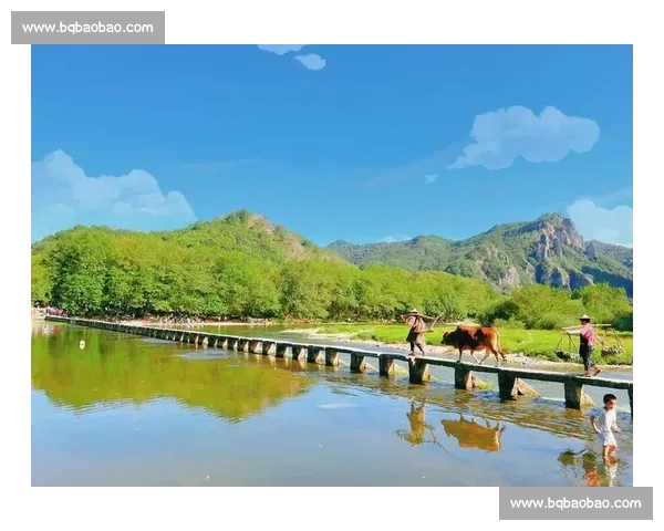 1200 人赴松阳之约：在江南秘境中定向穿行